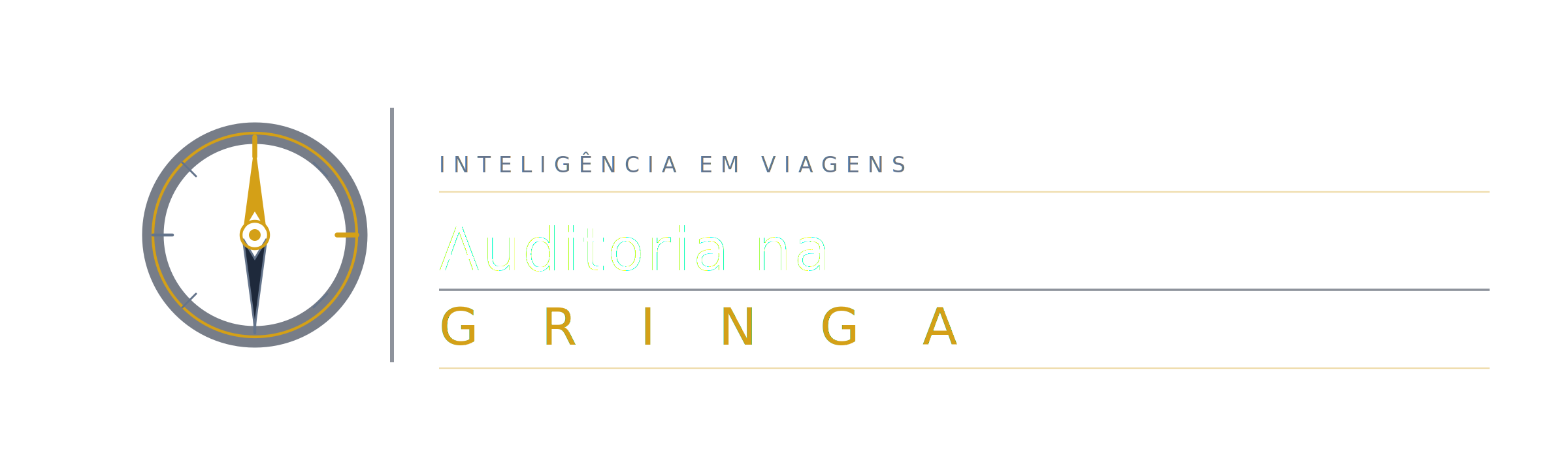 Auditoria na Gringa
